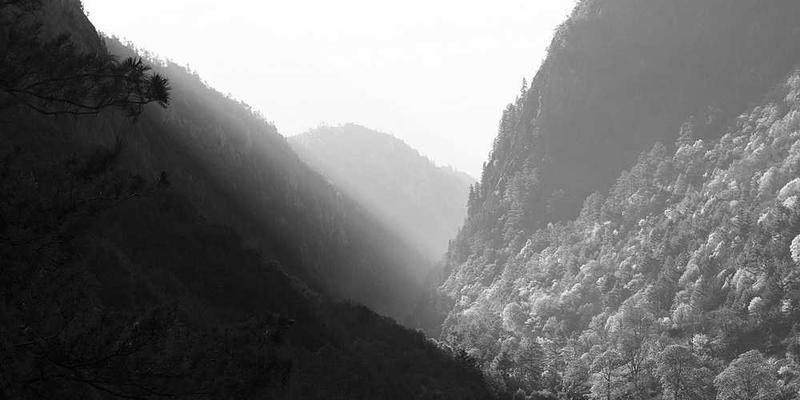 谍影重重2：谍影重重的迷雾